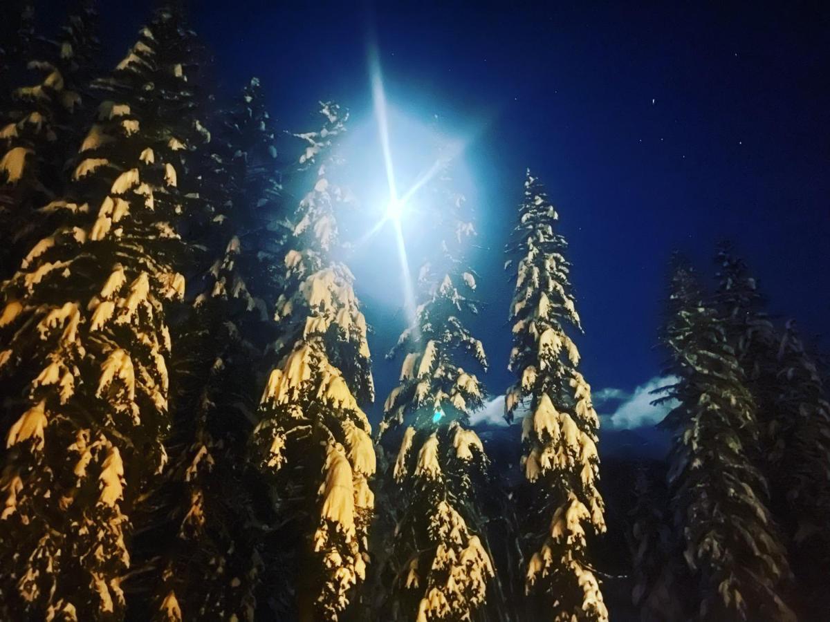 Wildhomes Wild Wolf Lodge Courmayeur Exterior photo